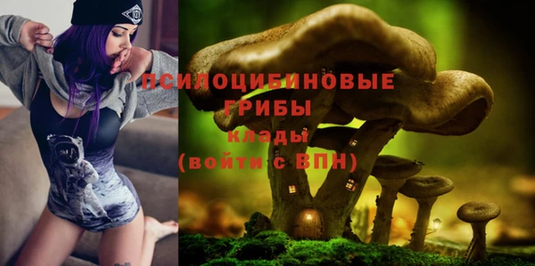 соль ск Зерноград